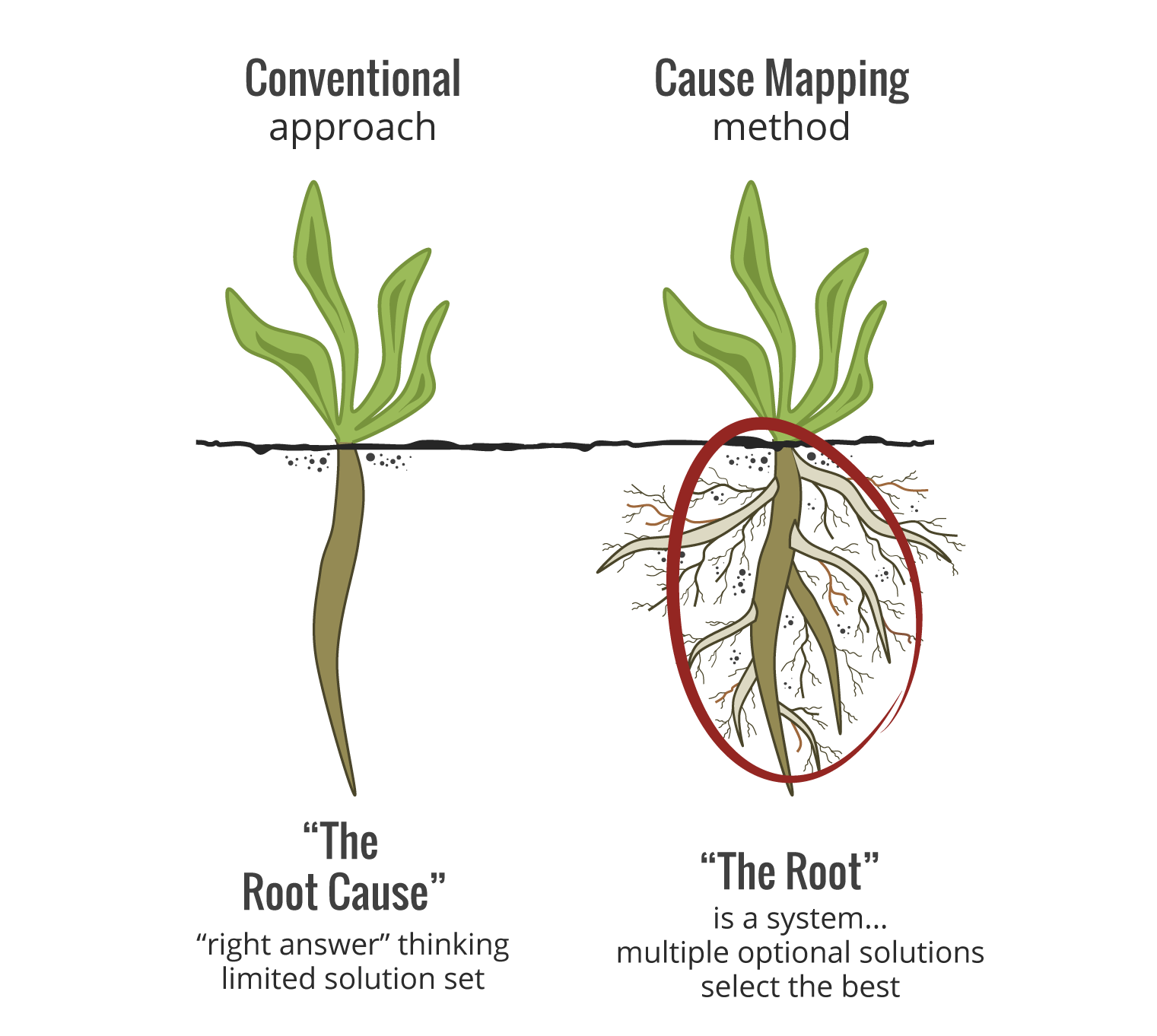 Root Pooty