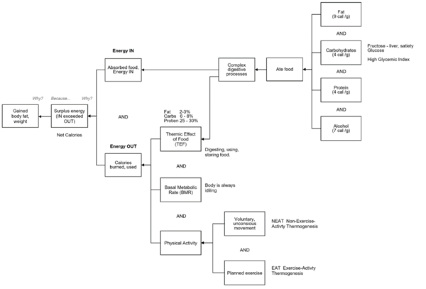 15-Why Cause Map for Weight Gain