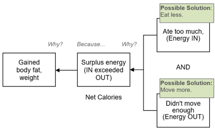 3-Why Cause Map for gaining body fat