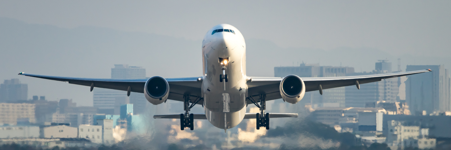 Disaster management case study of aeroplane crash picture