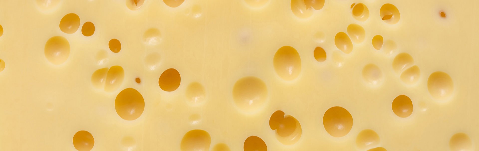 Holes In The Swiss Cheese Model?