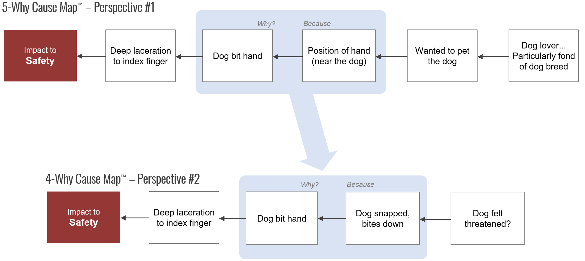 Dog Bite 5-Why and 4-Why