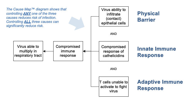 3 VitD Mechanisms